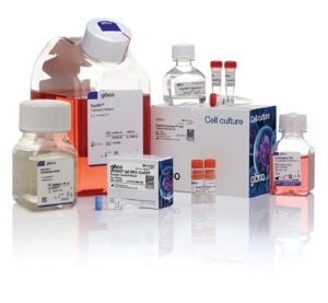 Gibco™ Expi293™ Expression System Kit