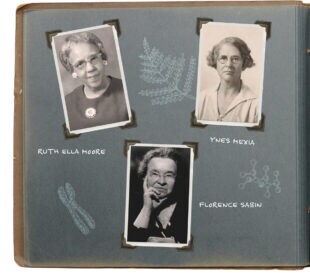 Women Scientists in History