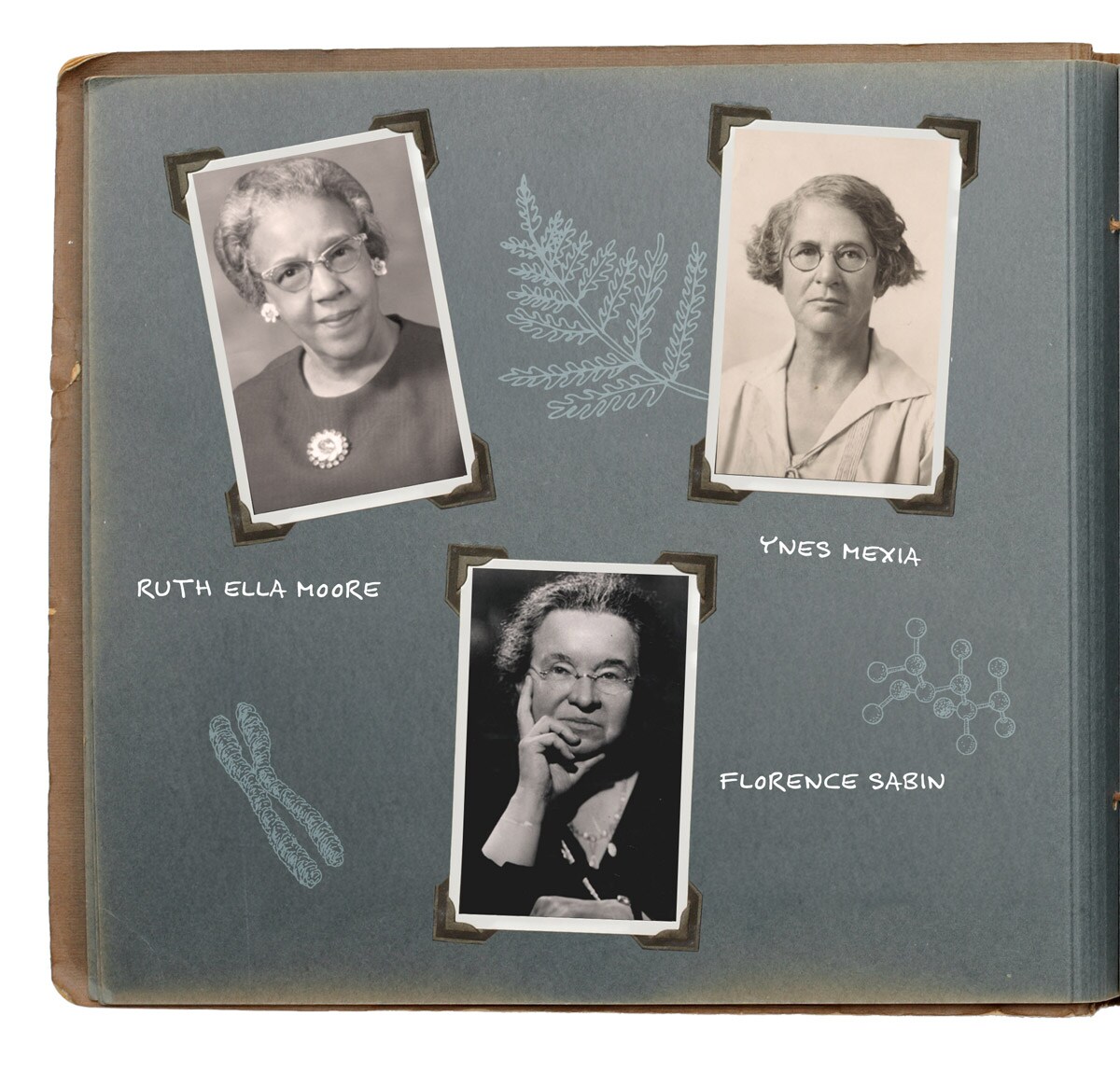 12 Women Scientists Who Shaped STEM History