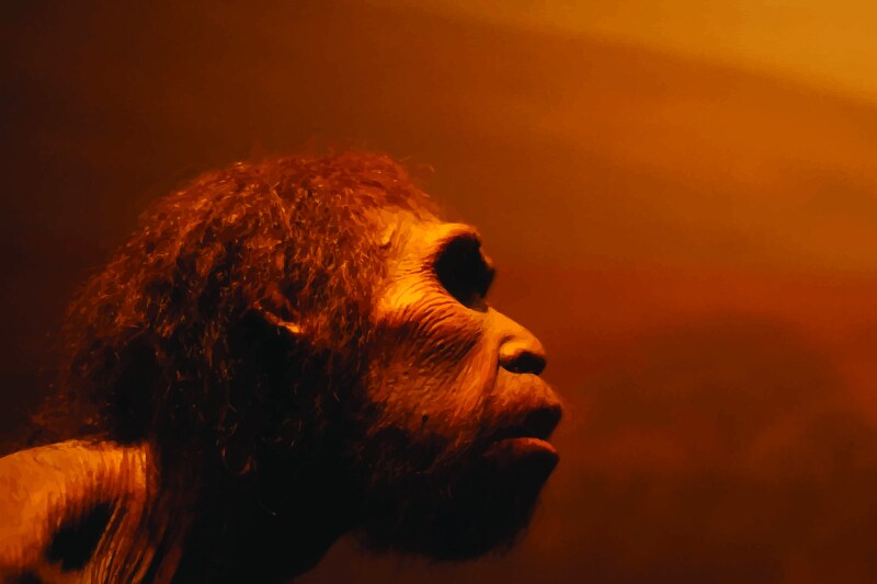 Representation of a Neanderthal 