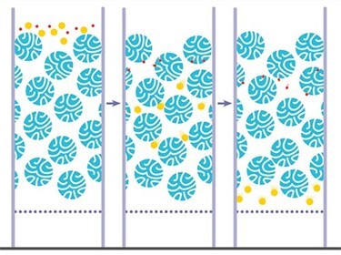Sample desalting using gel filtration chromatography as a protein purification method