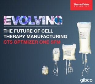 Gibco CTS OpTmizer One SFM enhances T-cell expansion, viability, and early memory cell phenotype in cell therapy workflows