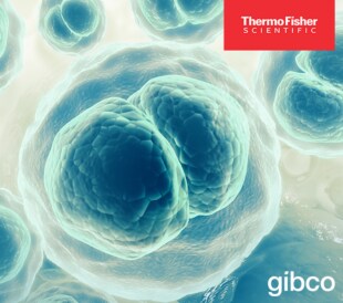 Knowledge Is Power: Overcoming Common Bioprocess Development Challenges