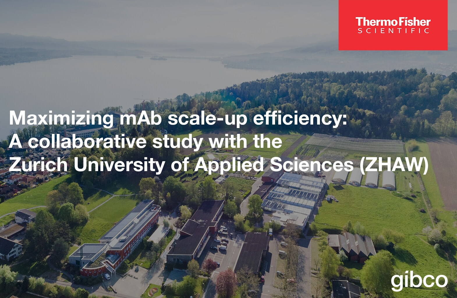 Maximizing mAb scale-up efficiecy