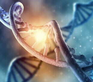 ResDNASEQ Workflow 3D Tour