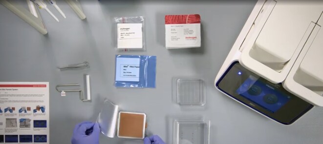 Setting up to use the iBlot 3