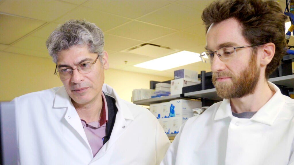 University of Minnesota virologists Declan Schroeder (left) and Dean McKeown (right) 