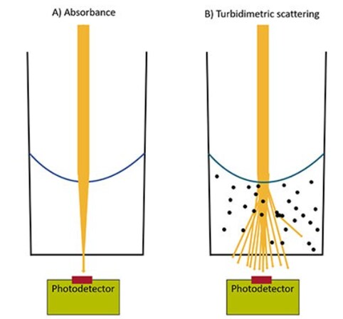 Figure illustrating the concepts of absorbance and turbidimetric detection in multimode microplate readers