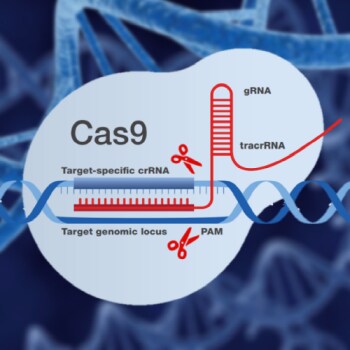 TrueDesign CRISPR Cas9 Genome Editor