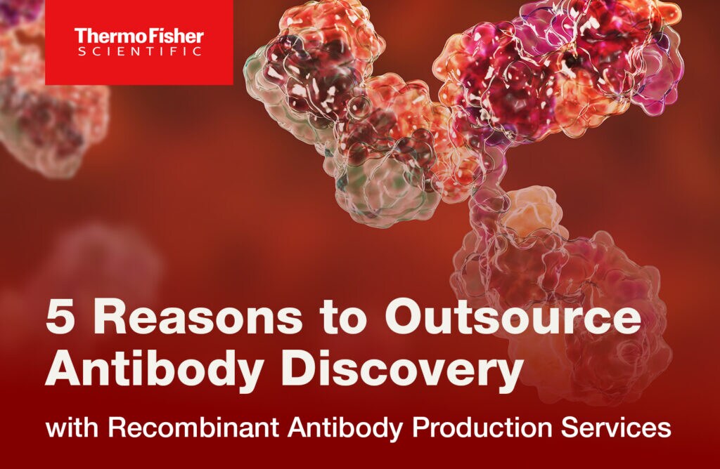 5 Reasons to Outsource Antibody Discovery with Recombinant Antibody Production Services 