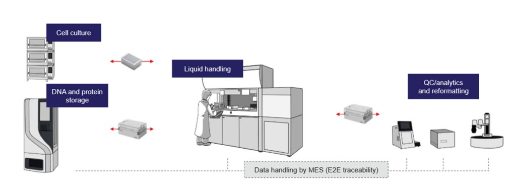 Automated antibody expression setup