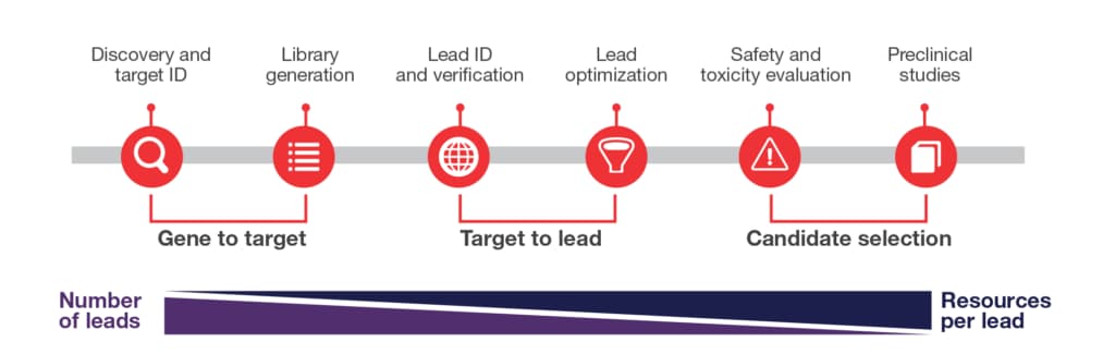 Therapeutic antibody development workflow 