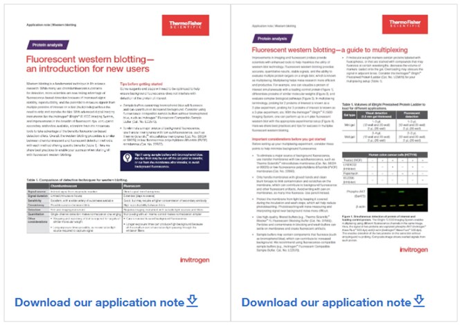 A pair of app notes with tips for PVDF vs nitrocellulose membranes and fluorescent western blotting and multiplexing