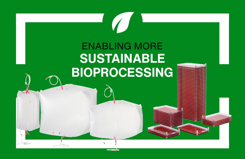 Sustainability by the Numbers: Reducing Your Carbon Footprint