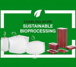 Sustainability by the Numbers: Reducing Your carbon footprint