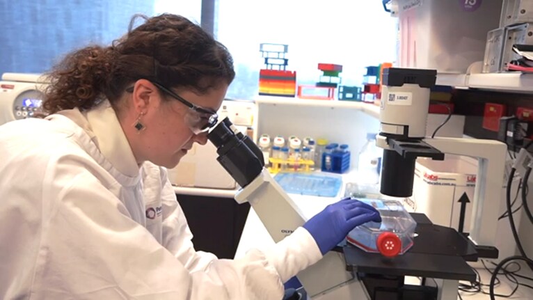 Dr. Kathleen Pishas examines ovarian cancer cells under the microscope
