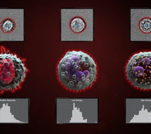 Training your AI image annotation model for image-enhanced flow cytometry samples