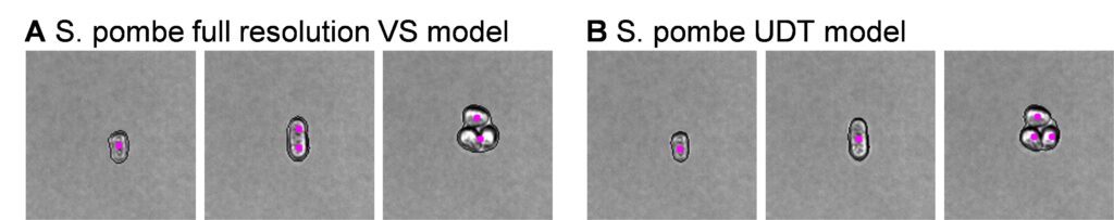 Evaluating differences in AI model accuracy after user driven image training