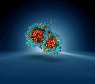 AIM Blog Feature Image