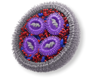 lipid nanoparticles for gene delivery