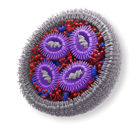 lipid nanoparticles for gene delivery