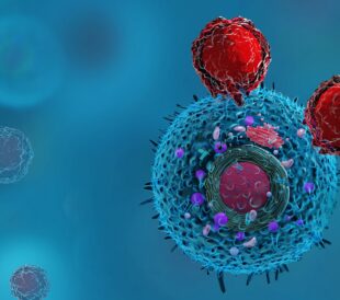 Immunopeptidome Analysis