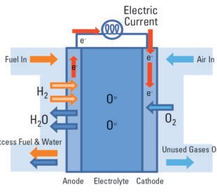 Schematic of operation of solid oxide fuel cell