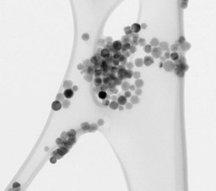 Bright field TEM image of iron oxide quantum dots