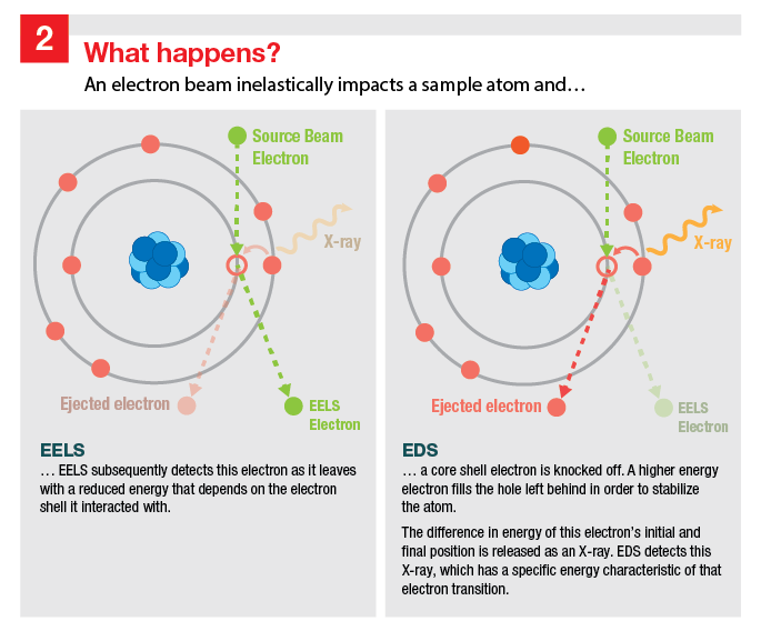 Source beam electron interacting with an atom's electron, showing what happens to the atom during EELS vs EDS. Source beam electron interacting with an atom's electron, showing what happens to the atom during EELS vs EDS.