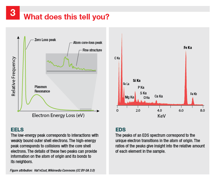 EELS spectrum and EDS spectrum shown side by side, demonstrating the information provided by each signal. EELS vs EDS spectrum shown side by side, demonstrating the information provided by each signal.
