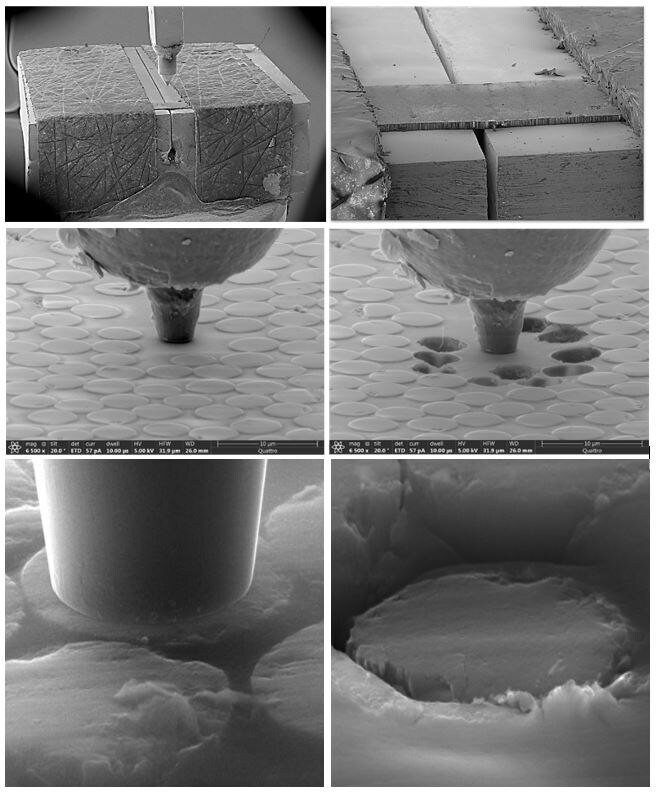 Carbon-fiber-reinforced polymer composite materials tested and imaged on the Quattro ESEM.