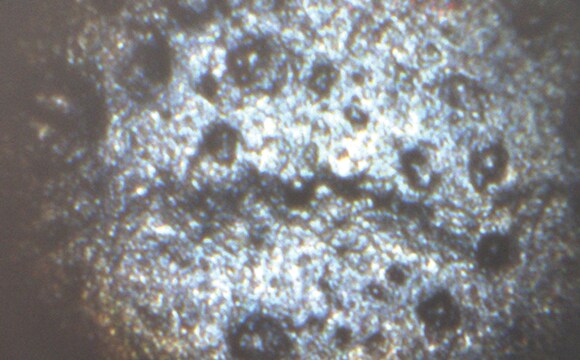 Prussian Blue oil paint - scientific analysis of fine art with FTIR