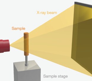 MicroCT produces 3D images based on the fact that harder materials absorb more X-rays and lighter materials allow more X-rays to pass through.