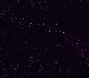 Automation for nanoparticle characterization