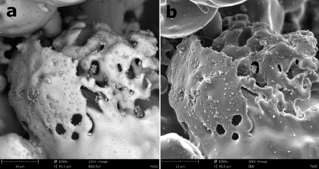 BSE (left) and SE (right) images of FeO₂ particles.