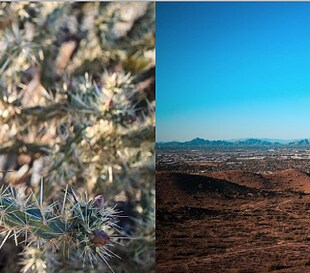 Two photos with very different depths of fields. (Left) A close-up of a flower – when the picture is taken from a short distance, the background will be blurred. (Right) A landscape picture – the longer distance increases the depth of field from a few centimeters to several kilometers.