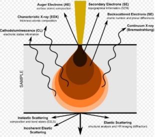 Electron – matter interactions: the different types of signals generated