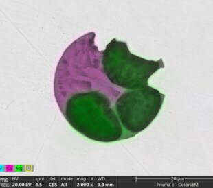 This map shows an oxide inclusion comprised of calcium aluminate liquid phase (purple) and crystals of solid magnesium oxide (green).