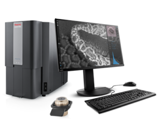 The robust and versatile Phenom Pro/ProX G6 Desktop SEM enables academic labs to advance their research by effectively analyzing a larger number of samples, while reserving their high-end SEM for more challenging samples.