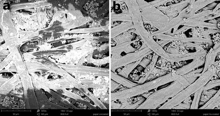 Charging effect on a non-conductive sample in SEM