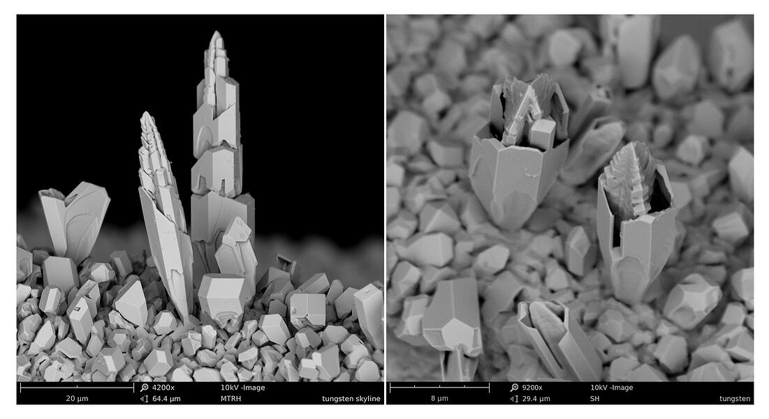 Backscattered electron image of Tungsten particles
