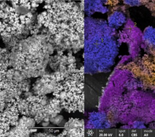 Analysis of a copper-nickel-zinc (Cu-Ni-Zn) alloy precursor. Using black-and-white images produced by an SEM (left), it’s difficult to identify different materials—especially when there are only small differences in backscattered contrast. By contrast, the ColorSEM image (right) presents each element as a different color, making it easy to distinguish all the materials in the sample. In a point-and-ID workflow, this is crucial information in order to select the relevant spots for further analysis.