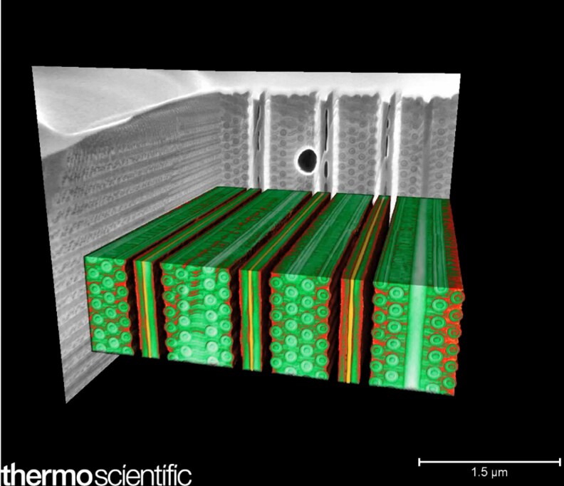 Viewing channel holes in 3D NAND memory device