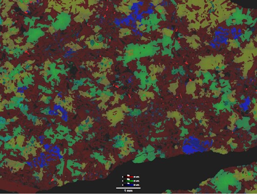 Quantitative EDS mapping of a monzogabbro rock sample.
