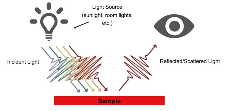 diagram of how the color of an object is perceived