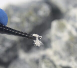 Asbestos detection can identify the composition of asbestos samples