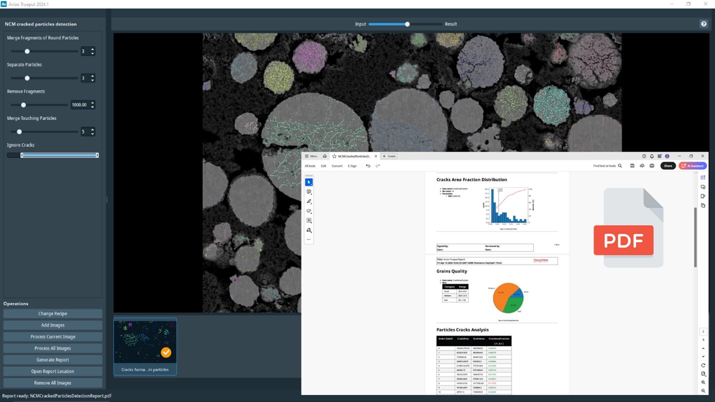 Avizo Trueput Software interface with a generated report for battery manufacturing quality control.