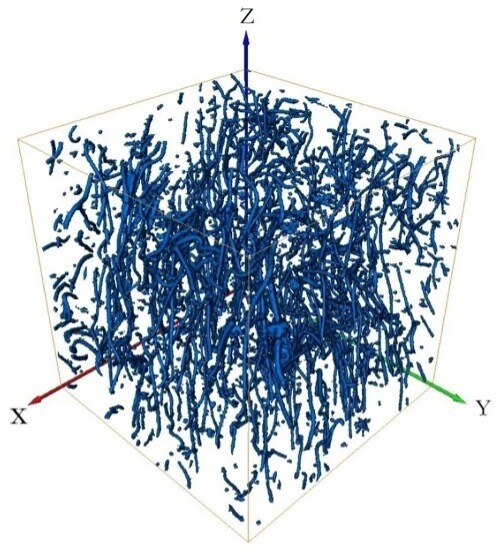 Images of composite polymer polyester fibers reconstructed using Avizo Software