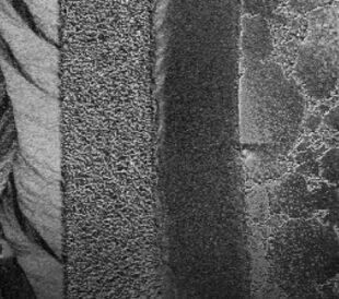 How does EM work social preview