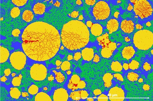 Example of NMC cathode cross-section segmented for particle cracking 